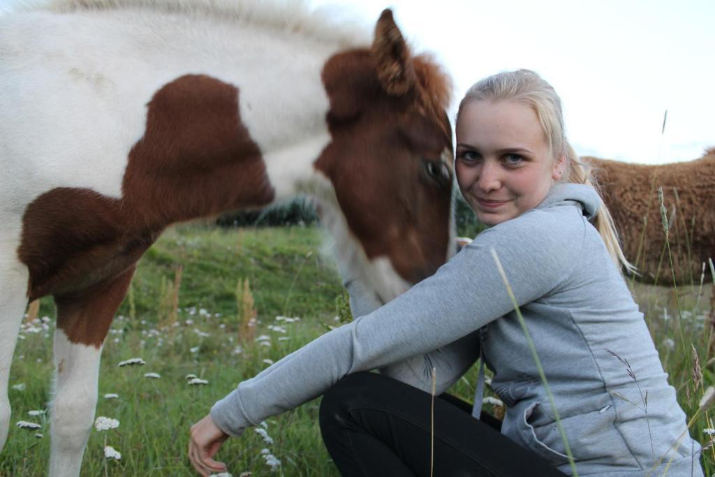 Skjaldarvik Guesthouse Akureyri Buitenkant foto