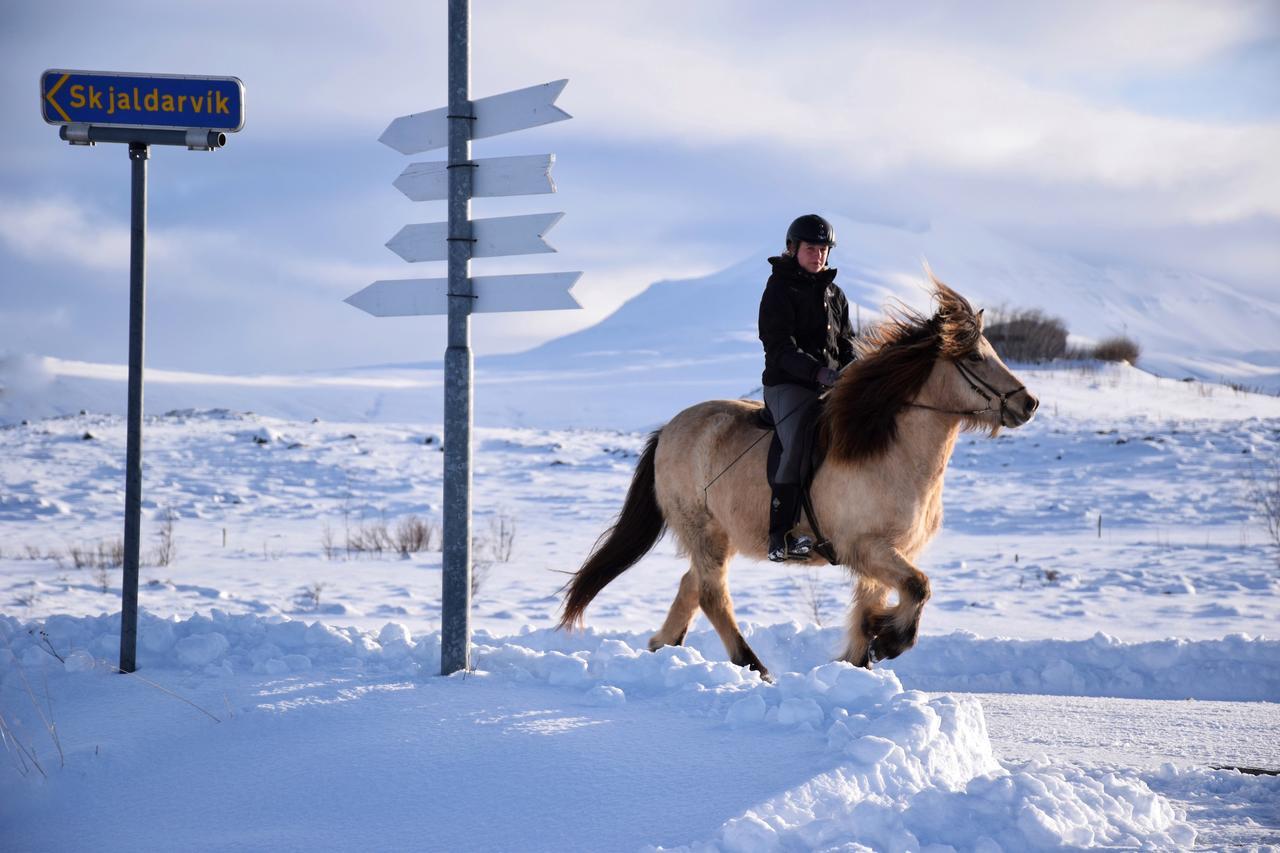 Skjaldarvik Guesthouse Akureyri Buitenkant foto
