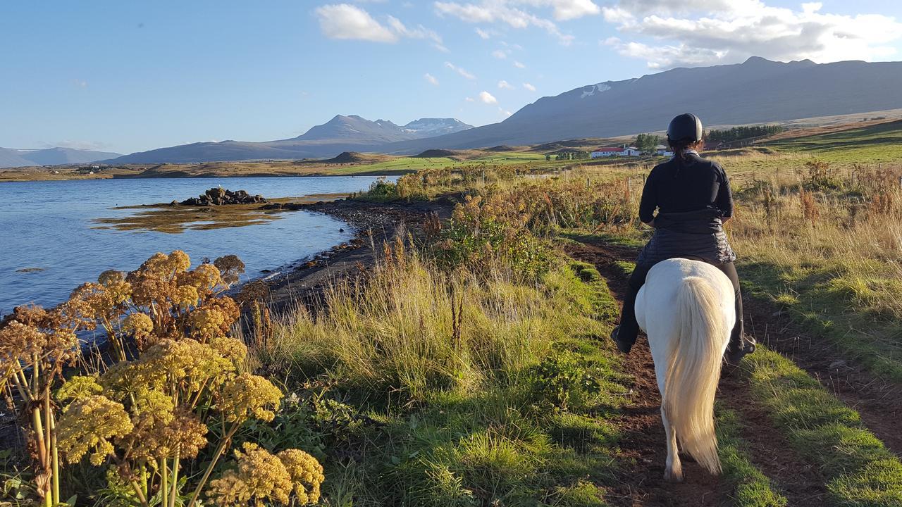 Skjaldarvik Guesthouse Akureyri Buitenkant foto